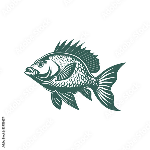 Vector illustration of Tilapia fish isolated on white background. Tilapia fish glyph icon. Badge for design seafood packaging. Logo Design for Fish Farming Business