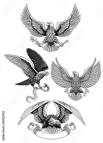 Bald Eagle Set Black and White Illustration