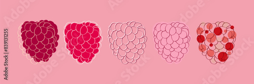 Five Stages of a Raspberry Illustration