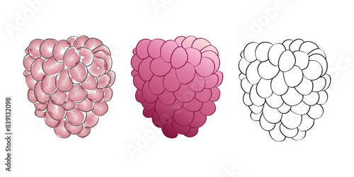 3 digital raspberry illustrations in different styles, a fully colored version, a partially colored version, and an outline version.