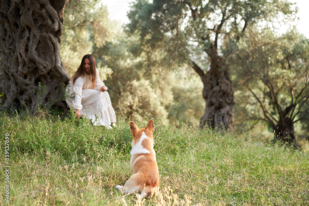 A serene moment unfolds as a woman enjoys playtime with joyful dog Welsh Corgi Pembroke in a lush grove A serene moment unfolds as a woman enjoys playtime with joyful dog Welsh Corgi Pembroke in a lush grove