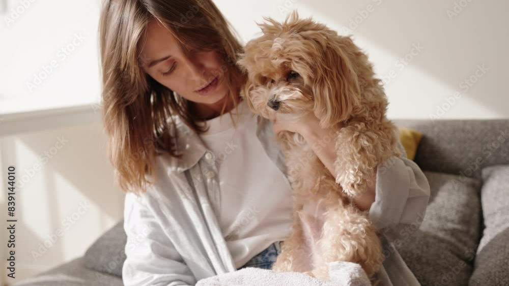 A woman tends to her furry friend, gently wiping the dog's paws with a towel, showcasing care and companionship. A woman tends to her furry friend, gently wiping the dog's paws with a towel, showcasing care and companionship.