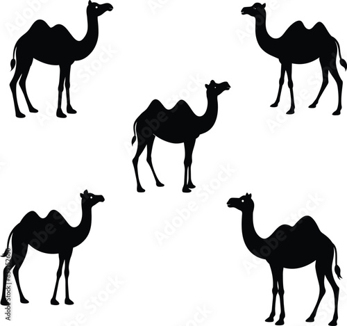 Black Silhouette Of  Camel Vector Art