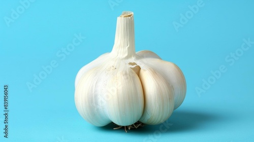 Isolated garlic bulb on a blue background, capturing its freshness and natural structure Ideal for food photography, recipe cards, and healthy living blogs Crisp and simple image © Suphat