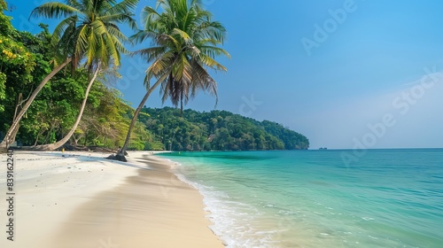 Fototapeta Naklejka Na Ścianę i Meble -  Tropical Paradise: Stunning White Sand Beach with Coconut Palms, Perfect Travel Getaway Scene