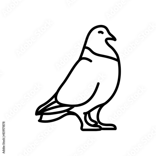 Pigeon Outline Icon, Vector illustration