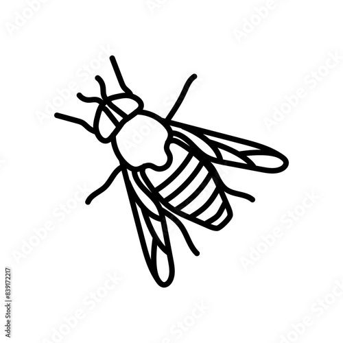 Tabanus Outline Icon, Vector illustration photo