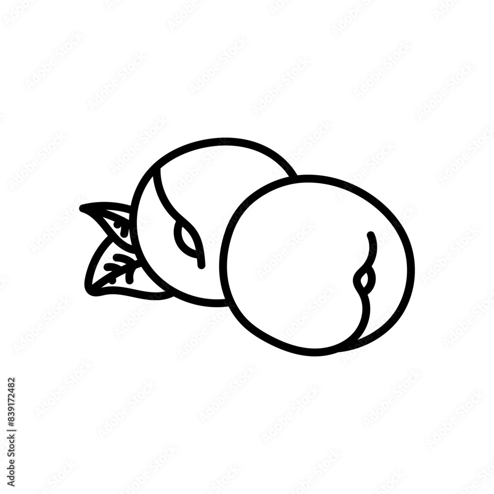Apricots Outline Icon, Vector illustration Apricots Outline Icon, Vector illustration