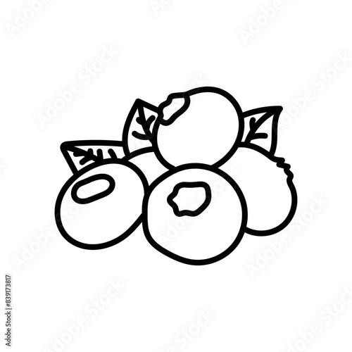 Blueberries Outline Icon, Vector illustration