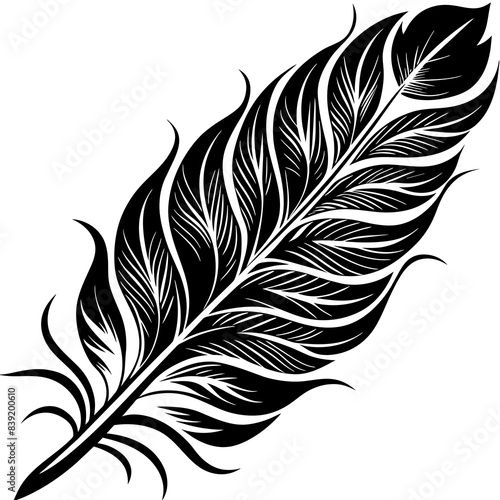 bird feather vector silhouette illustration