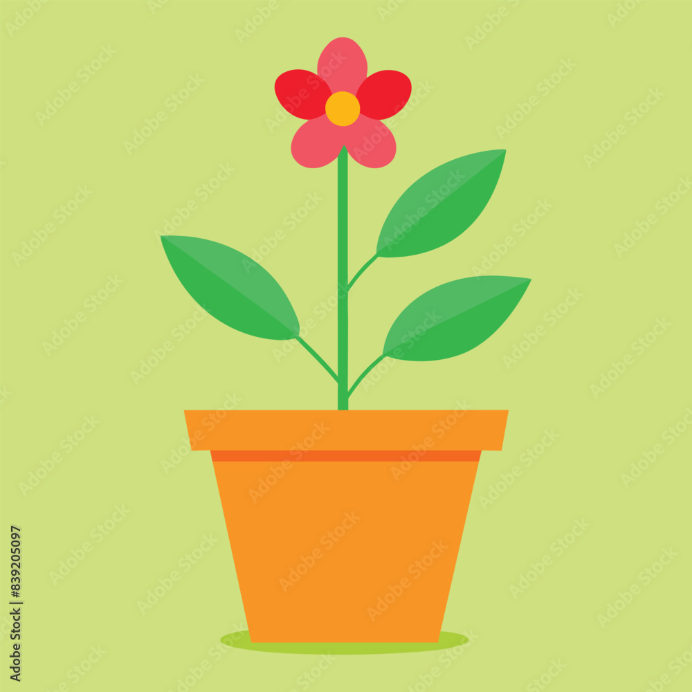 flowers in a pot flowers in a pot