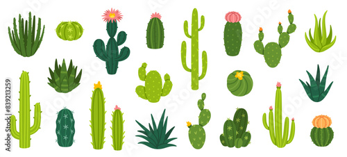 Cactuses. Desert plant, Mexican cacti flower, aloe, succulent. Cartoon decorative gardening cactus, home plants, summer Mexico nature plants. Vector flat set