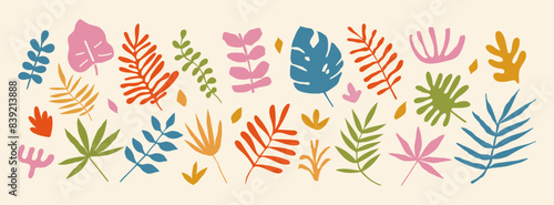 Abstract tropic leaves. Exotic plants and palm leaf. Different modern organic nature floral shapes. Summer botanical silhouettes. Collage doodle banana. Vector set