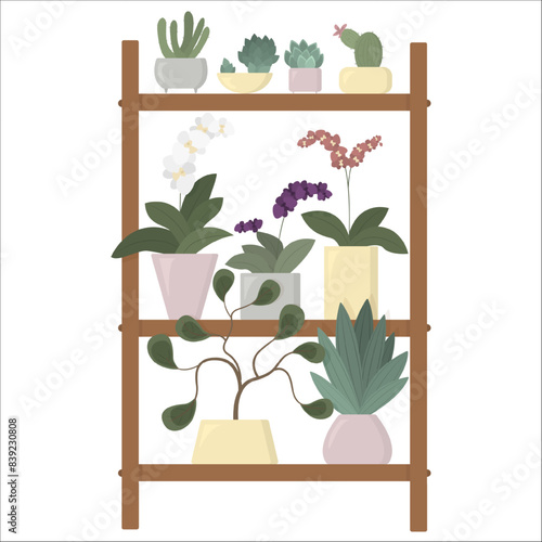 Homeplants in stylish pots. Flowers on the shelves. Stand for organic plants. Orchids and succulents in the house. Design with natural elements isolated on the white background