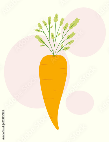 Bright carrot on a background with pink circles. Vegetable illustration in flat style