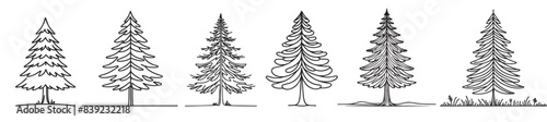 collection of line art larch tree drawing