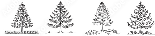 line art larch tree graphic design collection