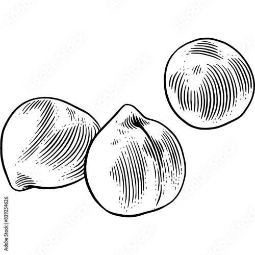 Hand drawn Chickpeas Sketch Illustration