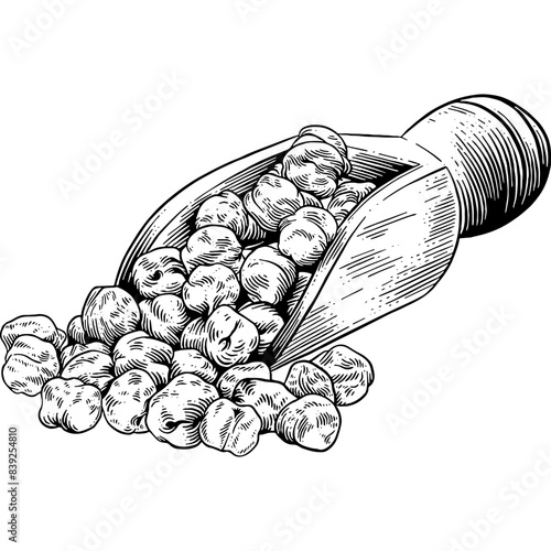 Hand drawn Scoop of Chickpeas Sketch Illustration