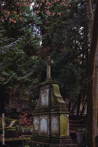 An ancient cross-topped monument stands solemnly among towering trees in a shadowy, moss-covered cemetery