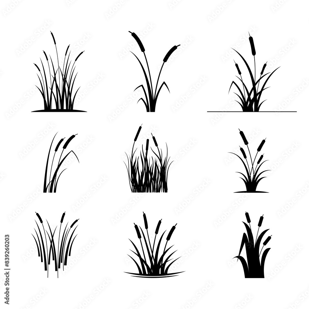 Obraz premium Icon set. Grass weeds vector illustration.