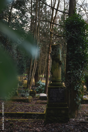 An old gravestone enveloped by forest greenery offers a peaceful yet haunting reminder of life's fleeting nature