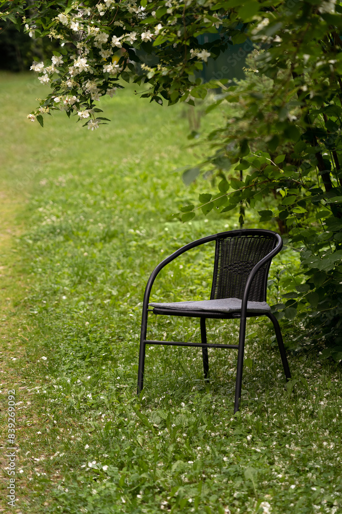 Wicker rattan chair stands in green summer garden under flowering jasmine bush. Garden furniture. Country style. Nature.