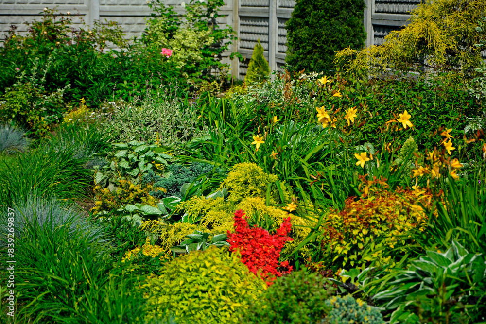 piękny ogród, rabata z bylinami i krzewami w wiosennym ogrodzie, kolorowa rabata w ogrodzie, flowerbed with perennials