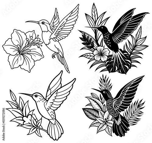 Hummingbirds and tropical flowers silhouette