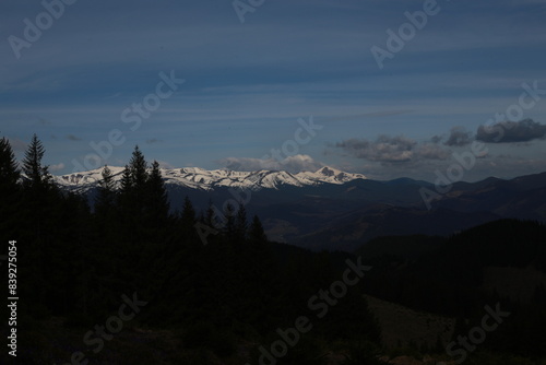 Carpathian mountains behind the trees. Ukrainian mountains. Ukrainian nature.