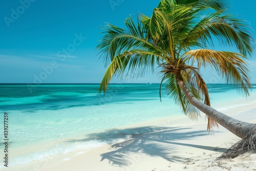 A palm tree leaning gracefully over a pristine white sandy beach  its fronds gently swaying in the warm breeze. Crystal-clear turquoise waters lap at the shore  inviting you for a refreshing swim.