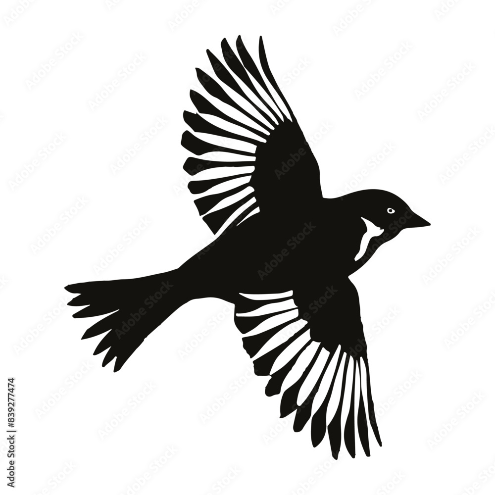 Naklejka premium Bird silhouette