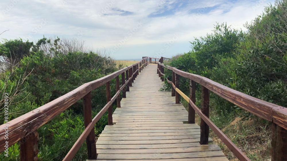Pathway to the beach, POV of person walking towards ocean Pathway to the beach, POV of person walking towards ocean