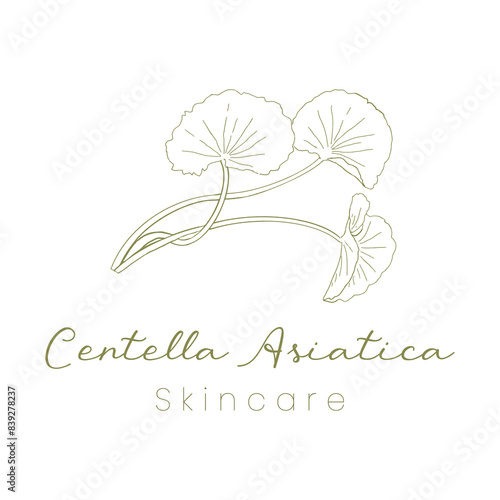 Gotu Kola ( Centella Asiatica ) Beautifull and Natural Skincare Logo
