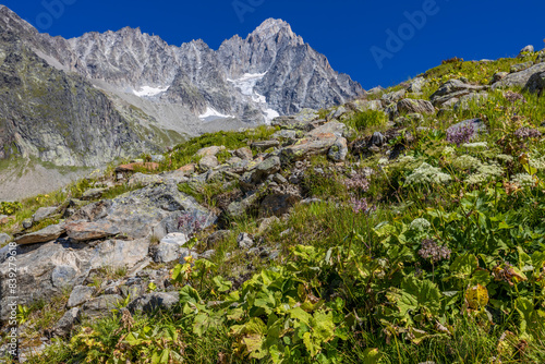 Tour du Montblanc beautiful mountain ladscapes of the Alps green valley, snow summit of Montblanc and rocky peaks of Aiguille du Midi in summer sunny weather blue sky, trekking and hiking in Chamonix