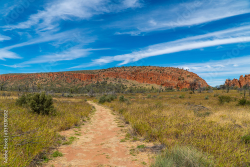 Glen Helen Gorge in the West MacDonnell Ranges  Northern Territory  Australia