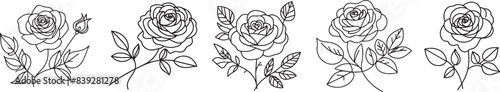 line art rose graphic design collection, black vector