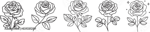 rose sketches in line art style, black vector photo