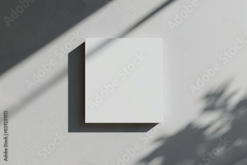 3d rendering  A blank white picture frame hanging on an empty wall with light wood floors. There is nothing in the photo  it s just a plain white wall and a simple white wooden floor