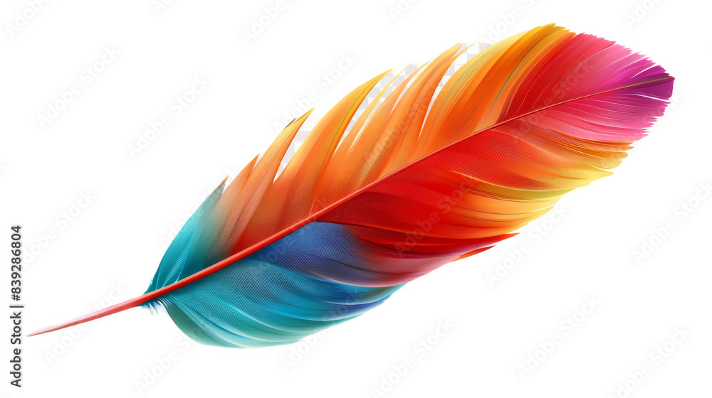 Single brightly colored feather isolated on white Single brightly colored feather isolated on white