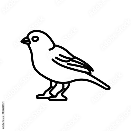Canary Outline Icon, Vector illustration