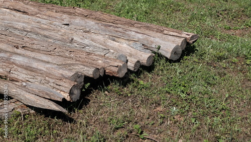 Wood logs
