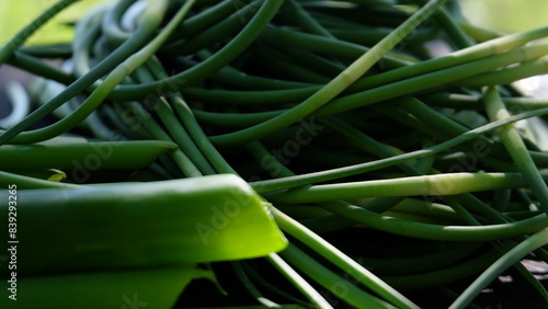 Green onion