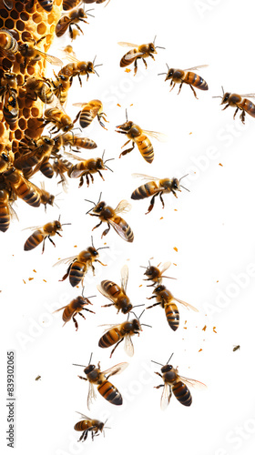 Swarm of bees isolated on transparent background