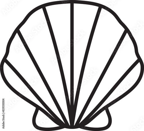 seashell