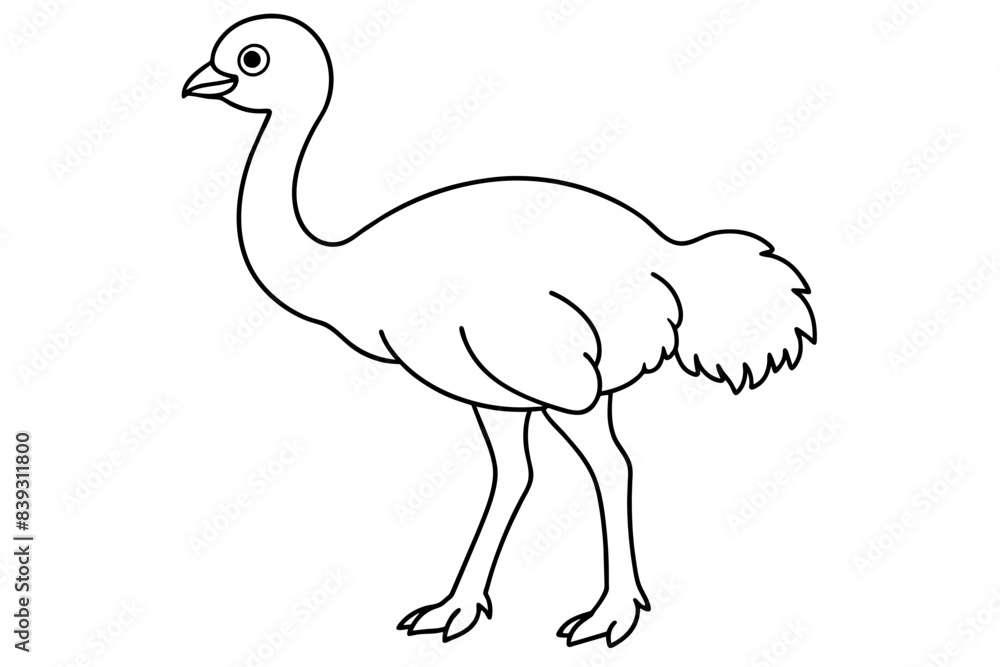 camel bird line art silhouette vector illustration camel bird line art silhouette vector illustration