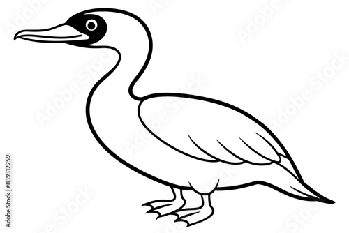 cormorant bird silhouette vector illustration
