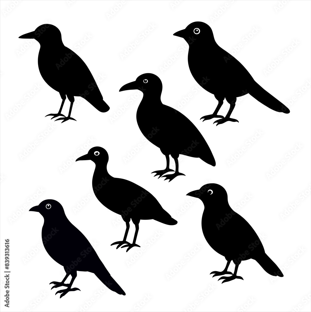 set of black birds on white background silhouette illustration set of black birds on white background silhouette illustration