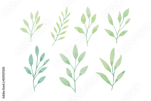 Assortment of watercolor leaves illustration set - green leaf branches collection for wedding, greetings, stationary, wallpapers, fashion, background. olive, green leaves, Eucalyptus etc