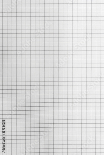 Close-up of blank graph paper with a grid pattern  perfect for math  engineering  or design projects. High-resolution for detailed work and precision.